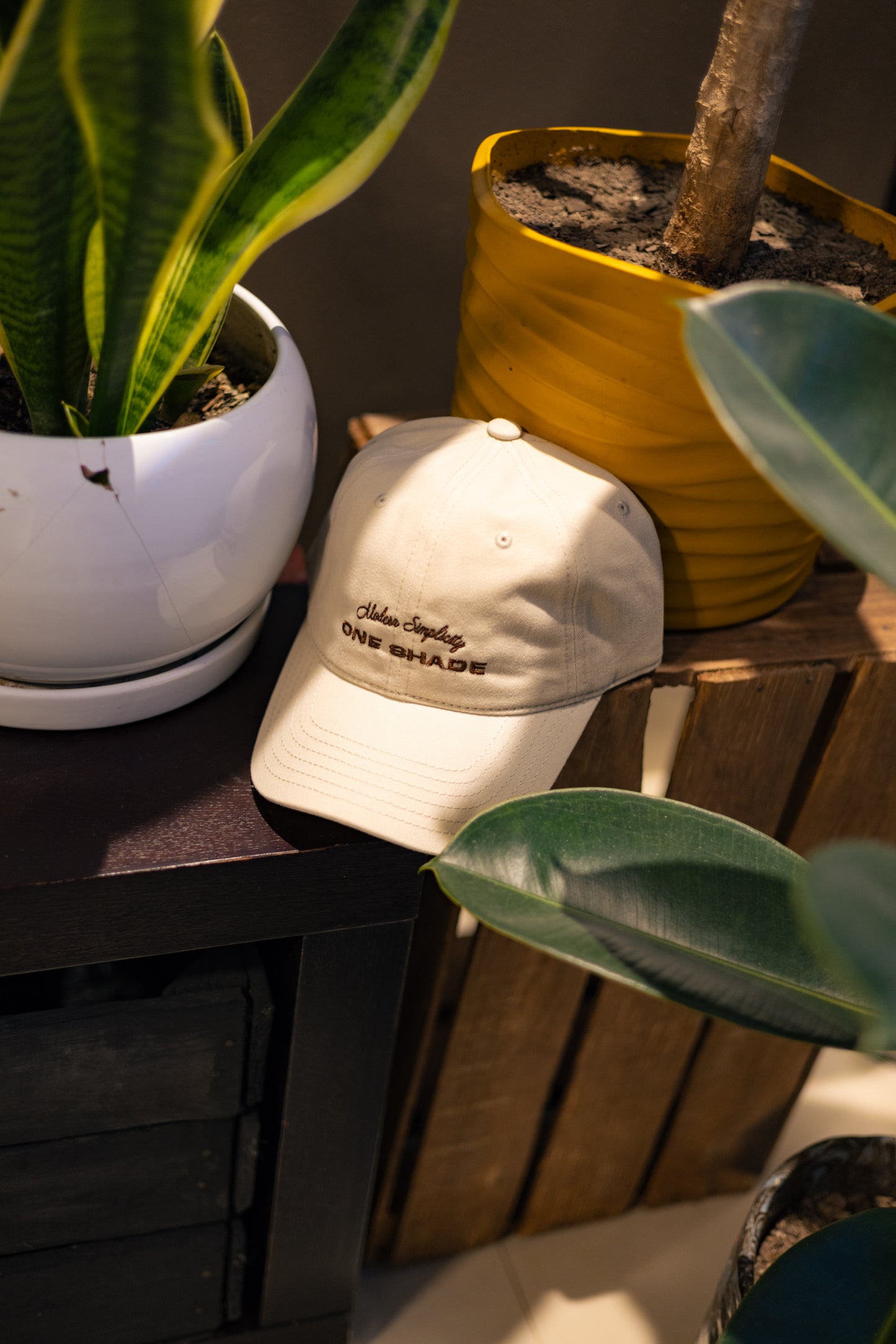 Gorra Beige Modern Simplicity